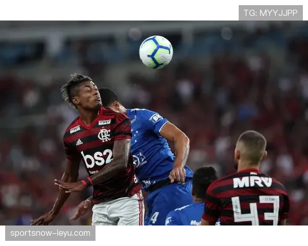 南美解放者杯决赛上演世纪对决 终场绝杀点燃全场激情