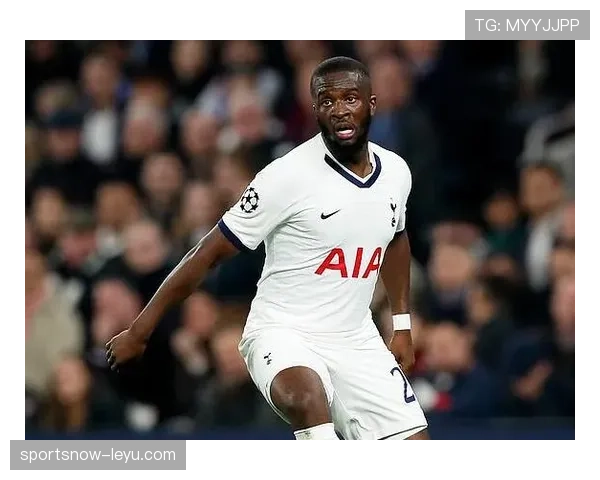 恩东贝莱高薪续约助力热刺阵容升级,新赛季重建前景可期 恩东贝莱高薪续约助力热刺阵容升级,新赛季重建前景可期