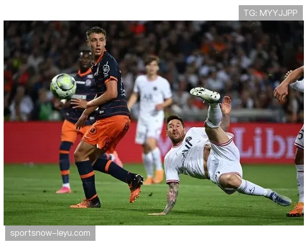 海伦芬阵容深度解析：新赛季挑战重重，表现引人关注