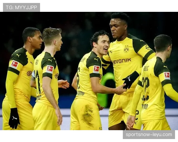 多特蒙德签下新星，期待其在德甲赛场大放异彩