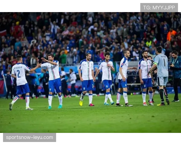 辉煌执法：欧洲杯裁判生涯中的传奇瞬间回顾