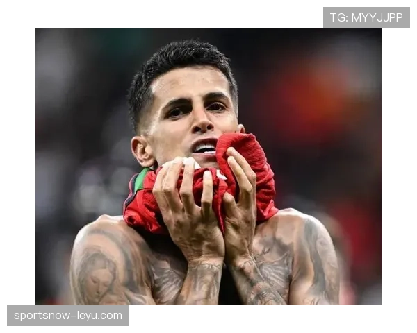 坎塞洛：从天才少年到足坛新星，稳健表现助其攀上职业生涯新高峰