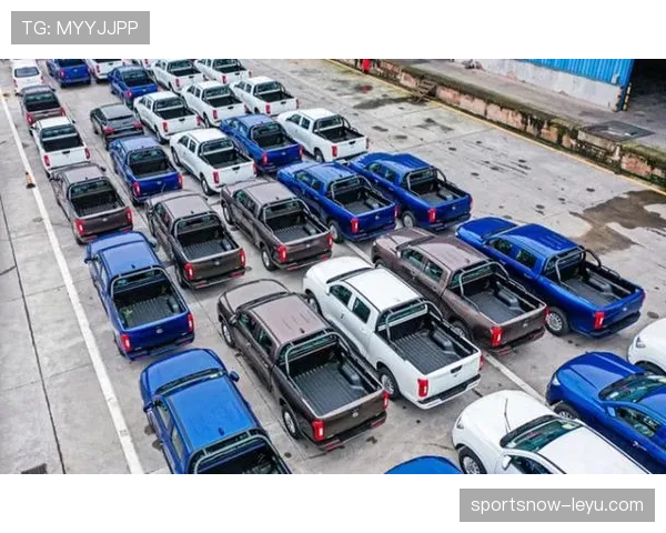 汉普郡圣徒新赛季强势回暖，球迷期待值拉满