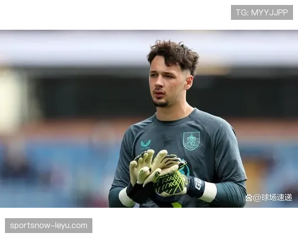 纽卡斯尔联签下新援，持续增强阵容深度引人关注